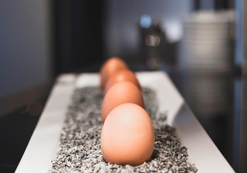 ホテル Amedia Express Graz Airport, Trademark Collection By Wyndham