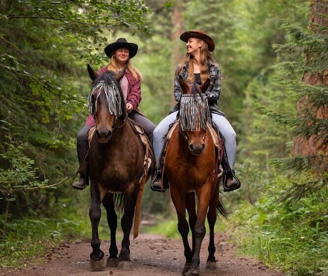 Отель Beaver Guestranch