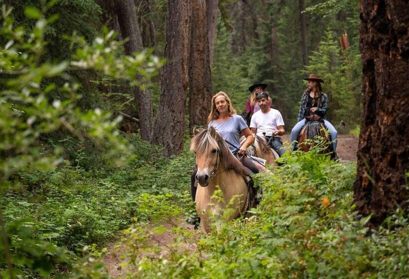 Отель Beaver Guestranch
