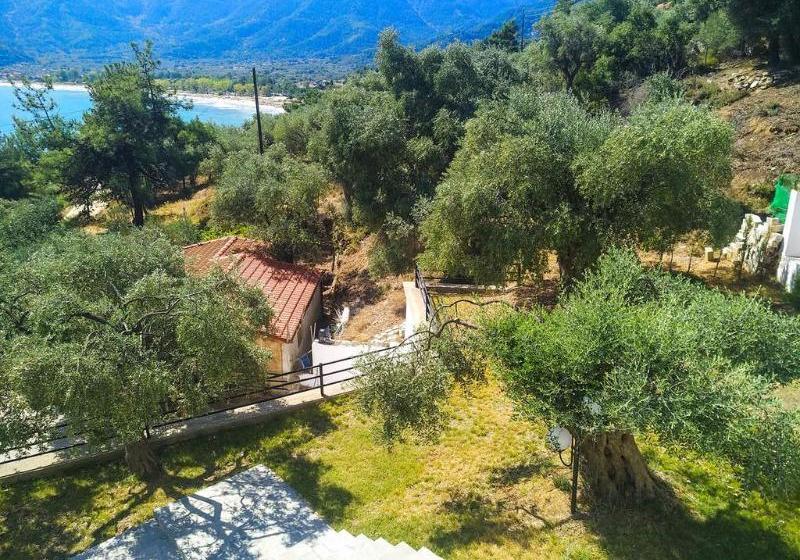 酒店 Celeste Golden Beach