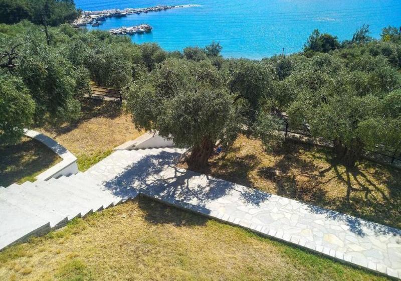 酒店 Celeste Golden Beach