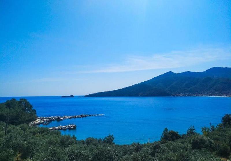 酒店 Celeste Golden Beach