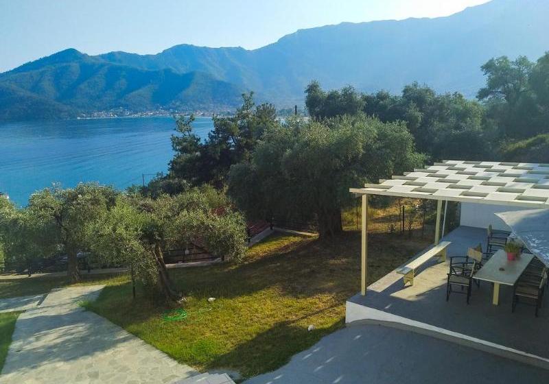 酒店 Celeste Golden Beach