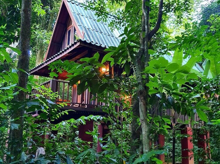 فندق Our Jungle House