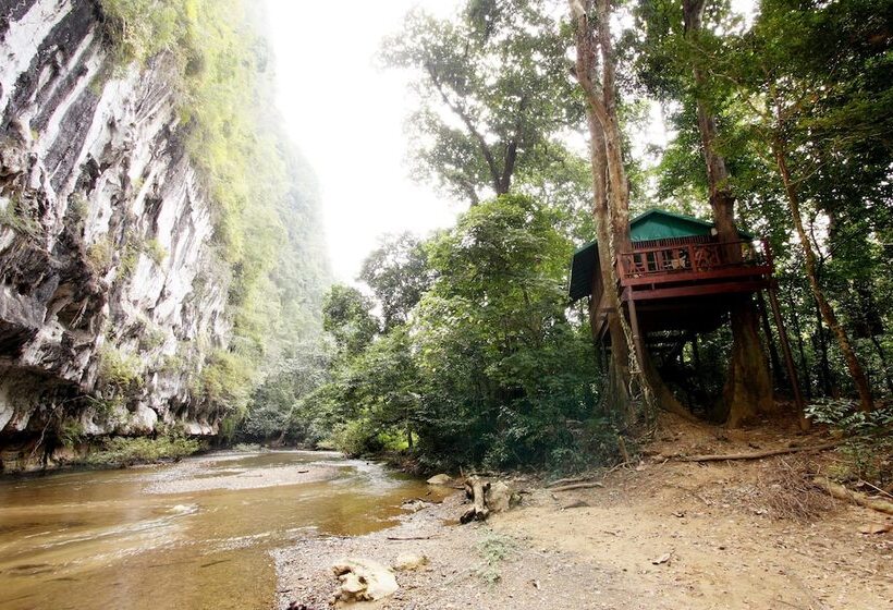 فندق Our Jungle House