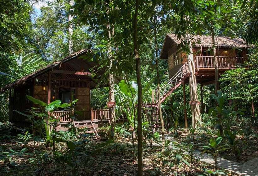 فندق Our Jungle House