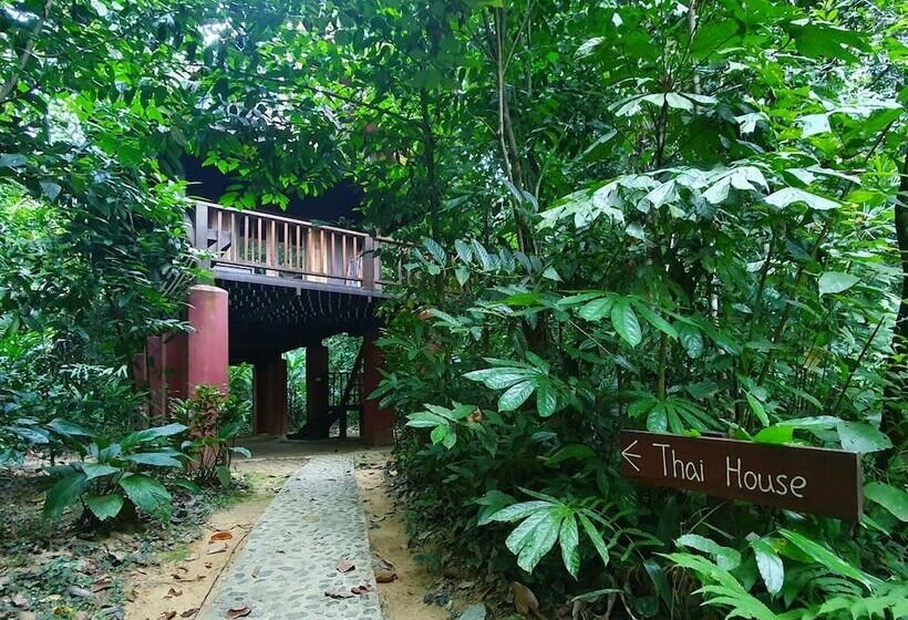 فندق Our Jungle House