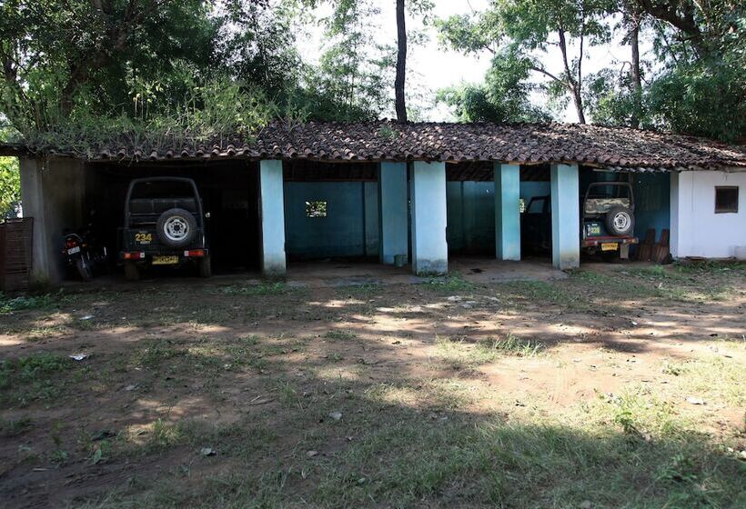 Отель The Bagh   A Forest Retreat Kanha