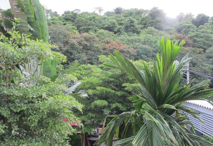 בית מלון כפרי Adrian View Resort