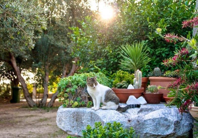 ホテル Apartments Iskra