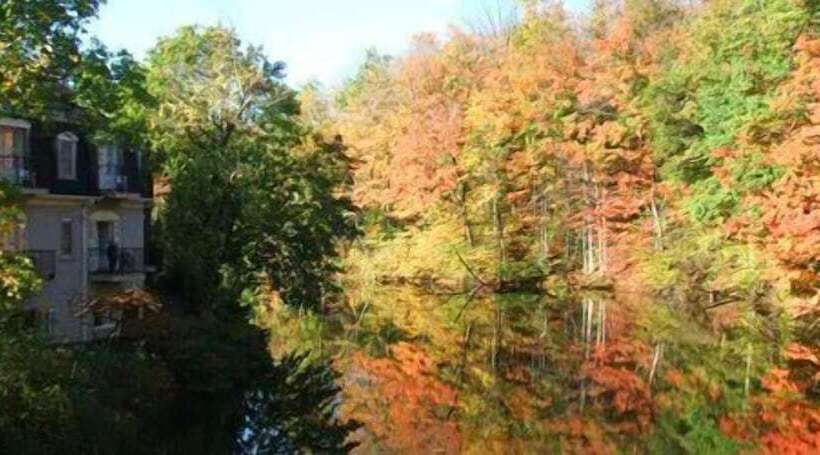 فندق Benmiller Inn & Spa