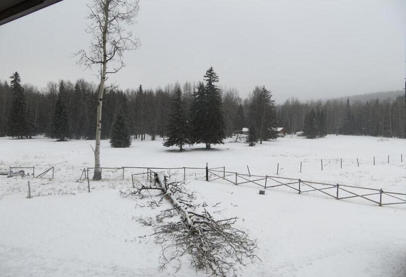 فندق Black Cat Guest Ranch