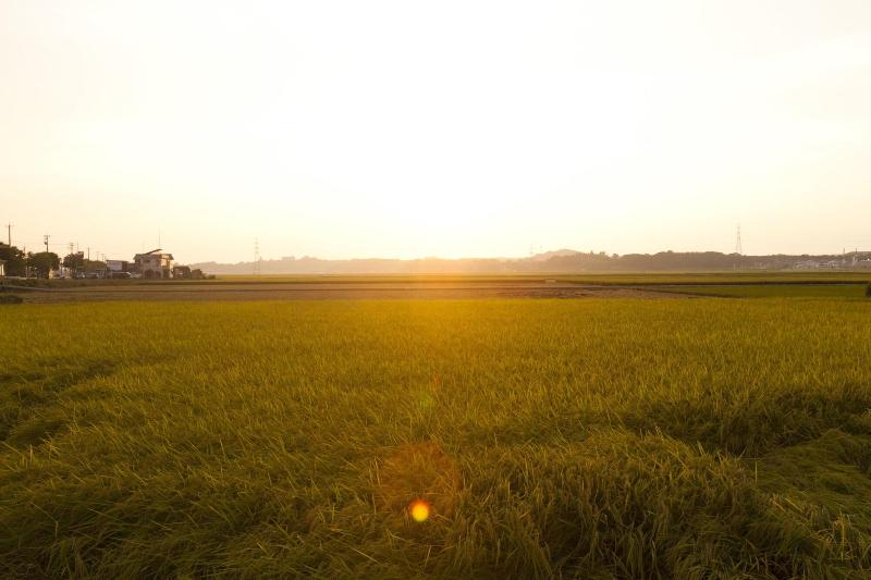 בית מלון כפרי Matsuya Sensen