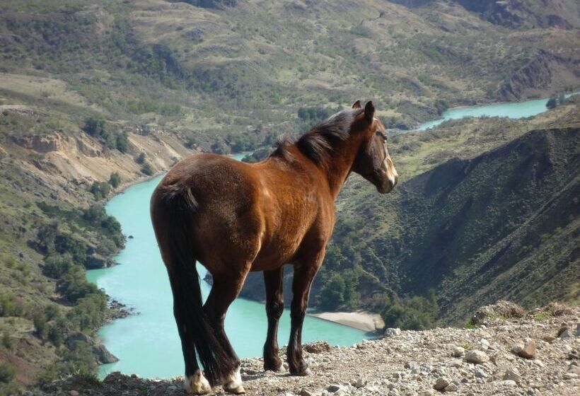 Отель Parador Austral Lodge