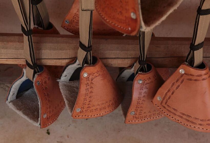 Отель Parador Austral Lodge