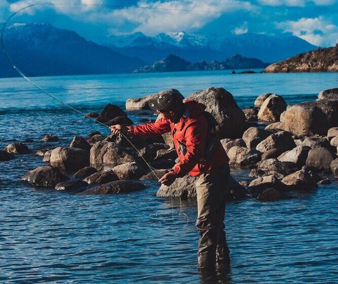 Отель Parador Austral Lodge