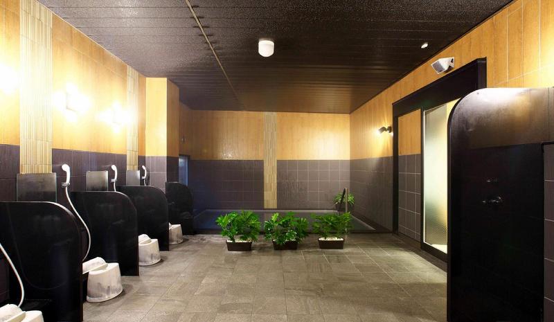 Отель Route Inn Sabae Kokudou 8gou