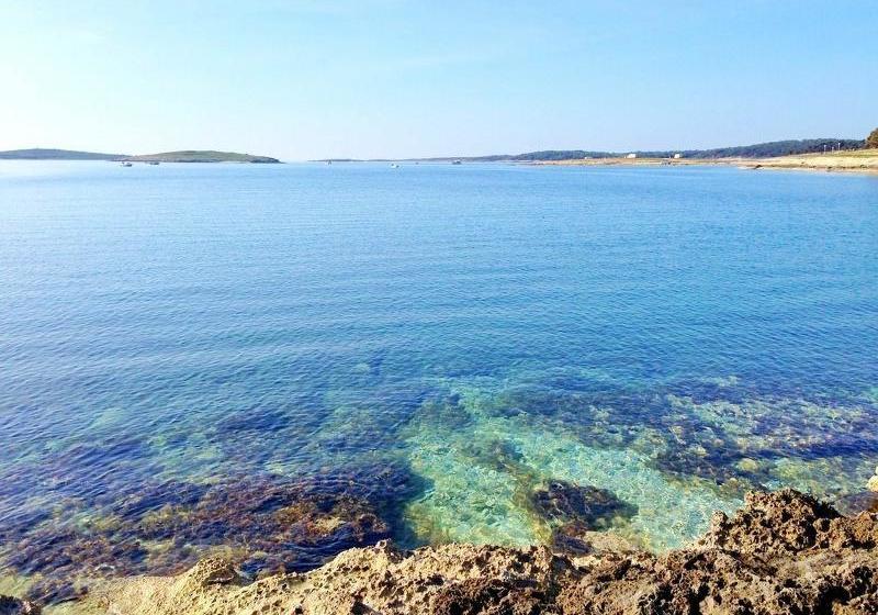 Отель Villa Salu