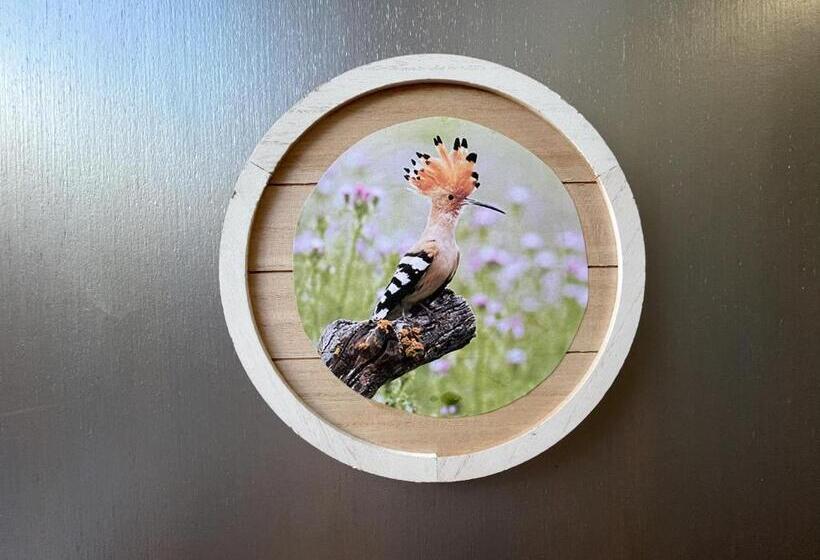 Les Bruyeres Chambres Dhotes Et Gite