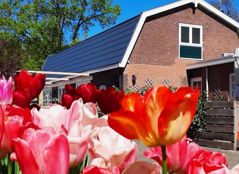 B&b De Hoffstal