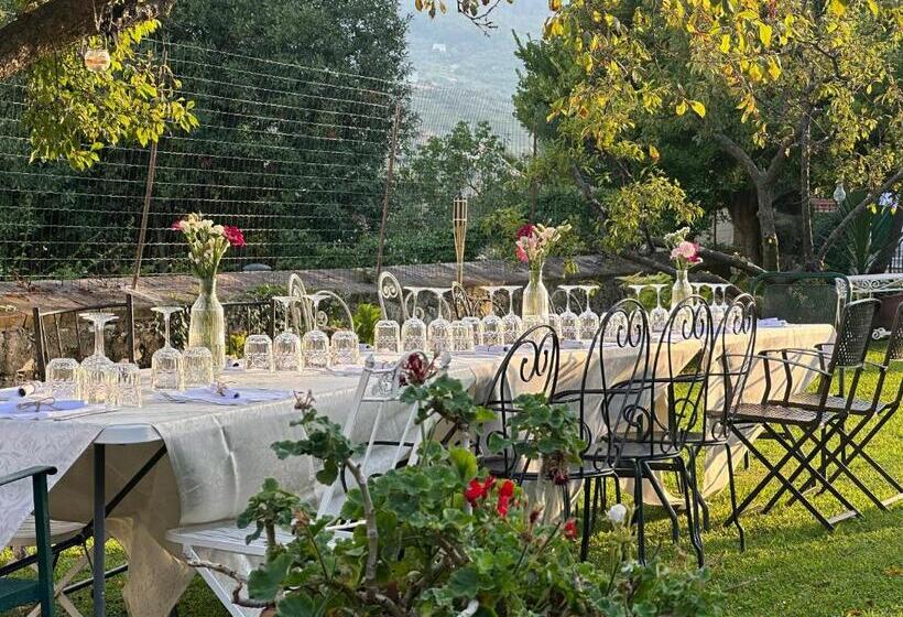 ベッドアンドブレックファースト Villa Gelsomino Exclusive House