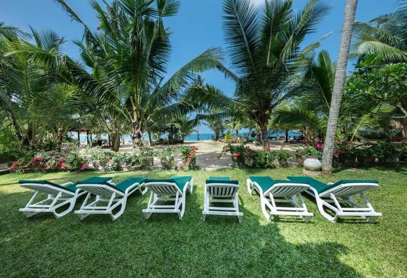 호텔 The Max Wadiya