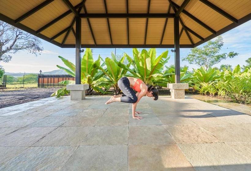 בית מלון כפרי Viveda Wellness Resort