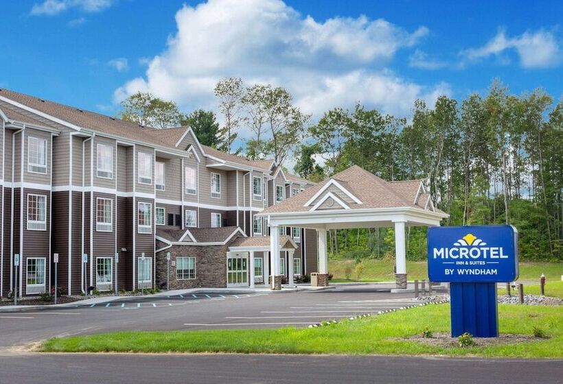 Microtel Inn & Suites By Wyndham Amsterdam