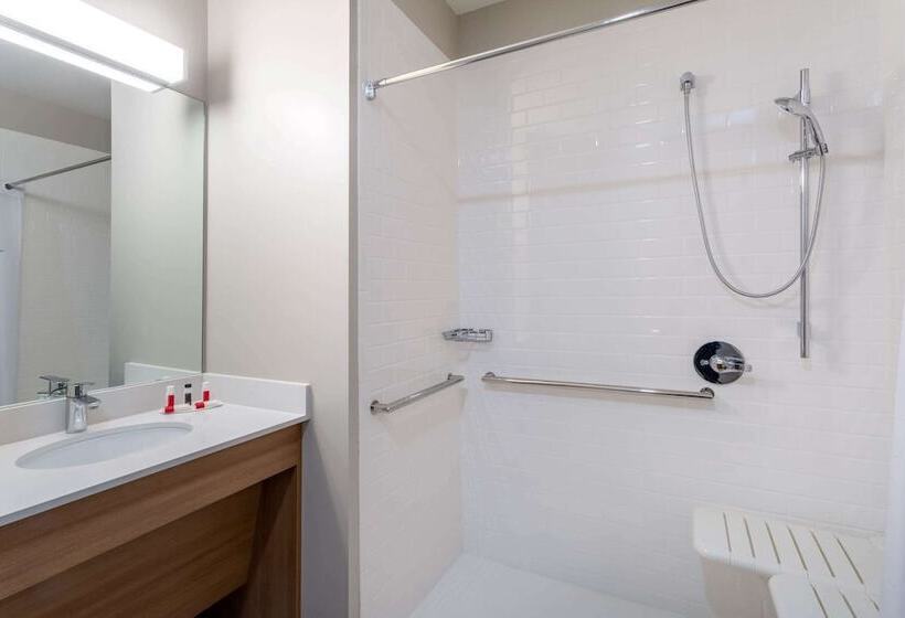 Microtel Inn & Suites By Wyndham Amsterdam