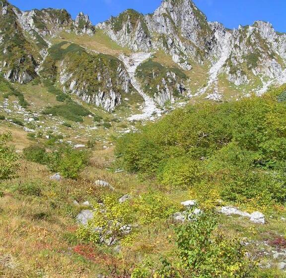 日式旅馆 Suzuranso