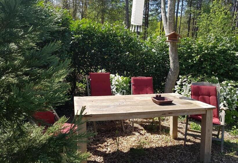 住宿加早餐  Bed&breakfast Kamersven