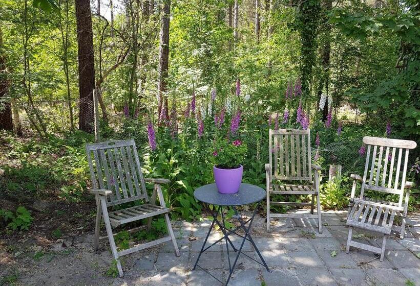 住宿加早餐  Bed&breakfast Kamersven