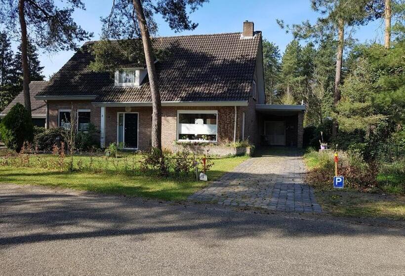 住宿加早餐  Bed&breakfast Kamersven