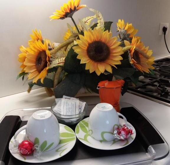 ベッドアンドブレックファースト Marevista