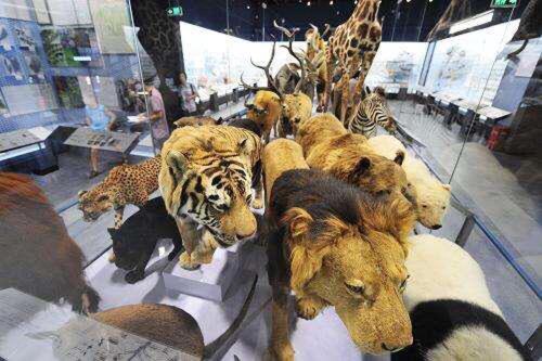 호텔 7days Premium Hangzhou West Lake Cultural Square Subway Station