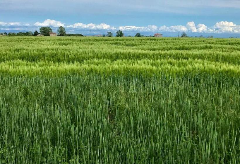 فندق Agriturismo Casale Ai Prati