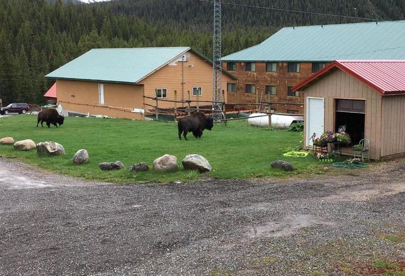 בית מלון כפרי Antlers Lodge