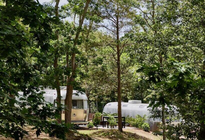 酒店 Autocamp Cape Cod