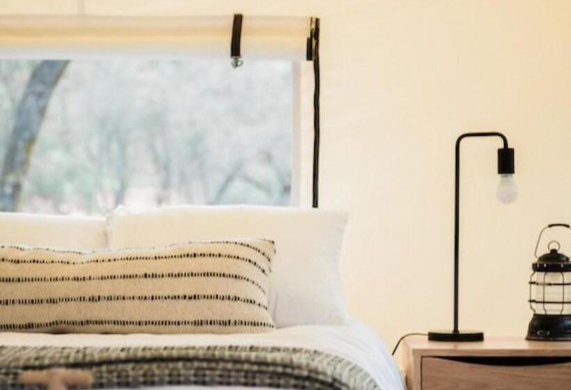 酒店 Autocamp Cape Cod