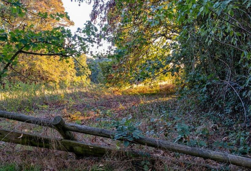 ホテル Chateau De Tresse