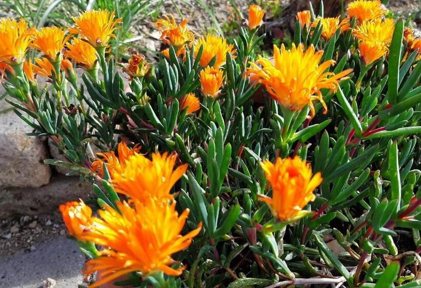 Отель Corte Degli Angeli