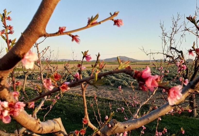 Отель Corte Degli Angeli