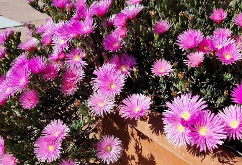 Отель Corte Degli Angeli