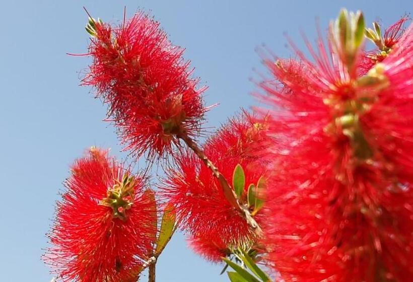 Отель Corte Degli Angeli