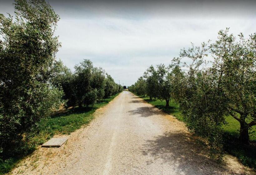 Отель Corte Degli Angeli