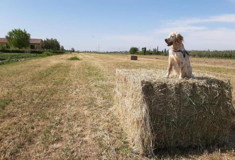 Отель Corte Degli Angeli
