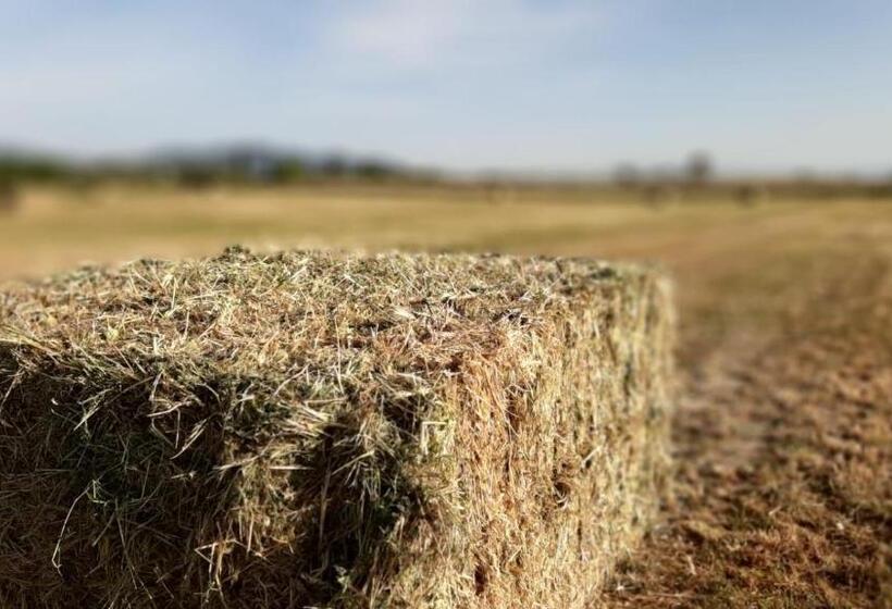 Отель Corte Degli Angeli