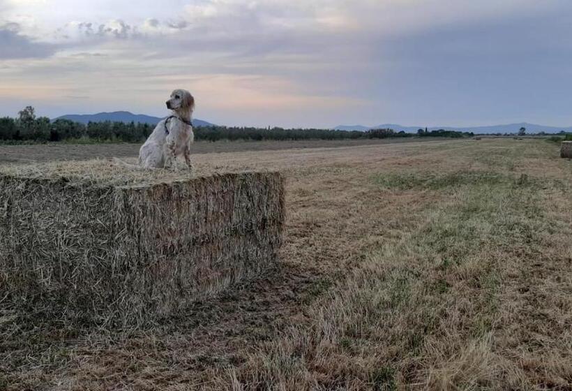 Отель Corte Degli Angeli
