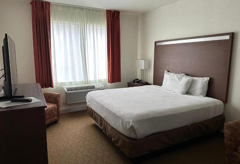 酒店 Comfort Inn & Suites Belton Temple South I 35