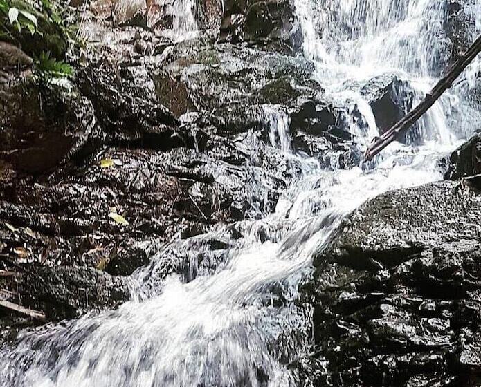 Отель Fazenda Vale Alvorada